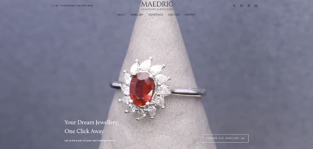 Home page of Maedric (maedric.com)